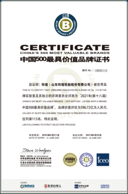 我市兩品牌榮登2021年“中國500最具價(jià)值品牌”榜單，節(jié)能環(huán)保技術(shù)開發(fā)成亮點(diǎn)