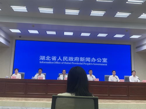 湖北加速設(shè)備更新浪潮 2027年前推動技術(shù)落后與節(jié)能環(huán)保不達(dá)標(biāo)設(shè)備全面升級